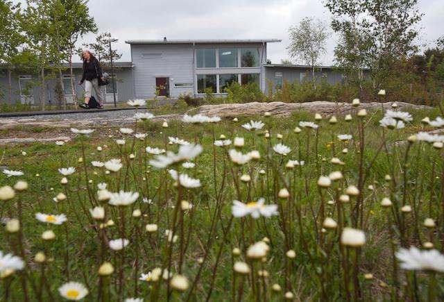 Loftadalens Folkhogskola 호텔 Åsa 외부 사진